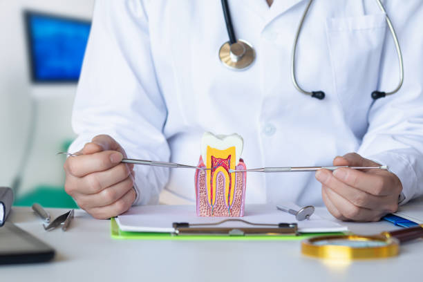 Best Emergency Dental Services for Seniors in St Clairsville, OH